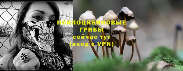 дмт Алзамай