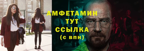 амф Гусиноозёрск