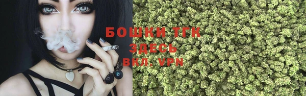 прущие крисы Арсеньев