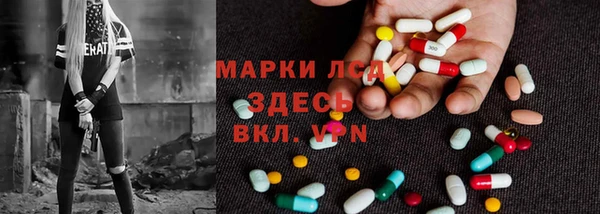 спиды Аркадак
