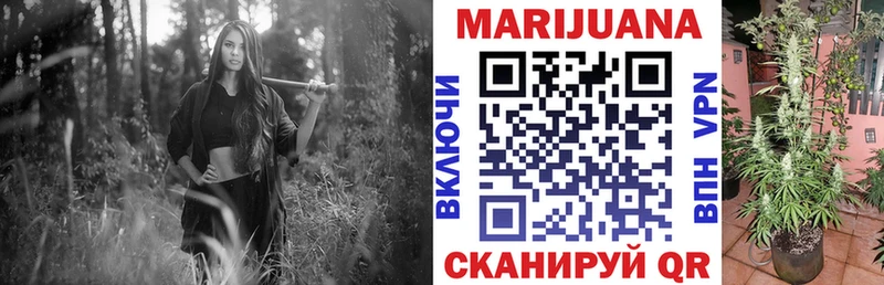 Каннабис конопля  закладка  Курган 